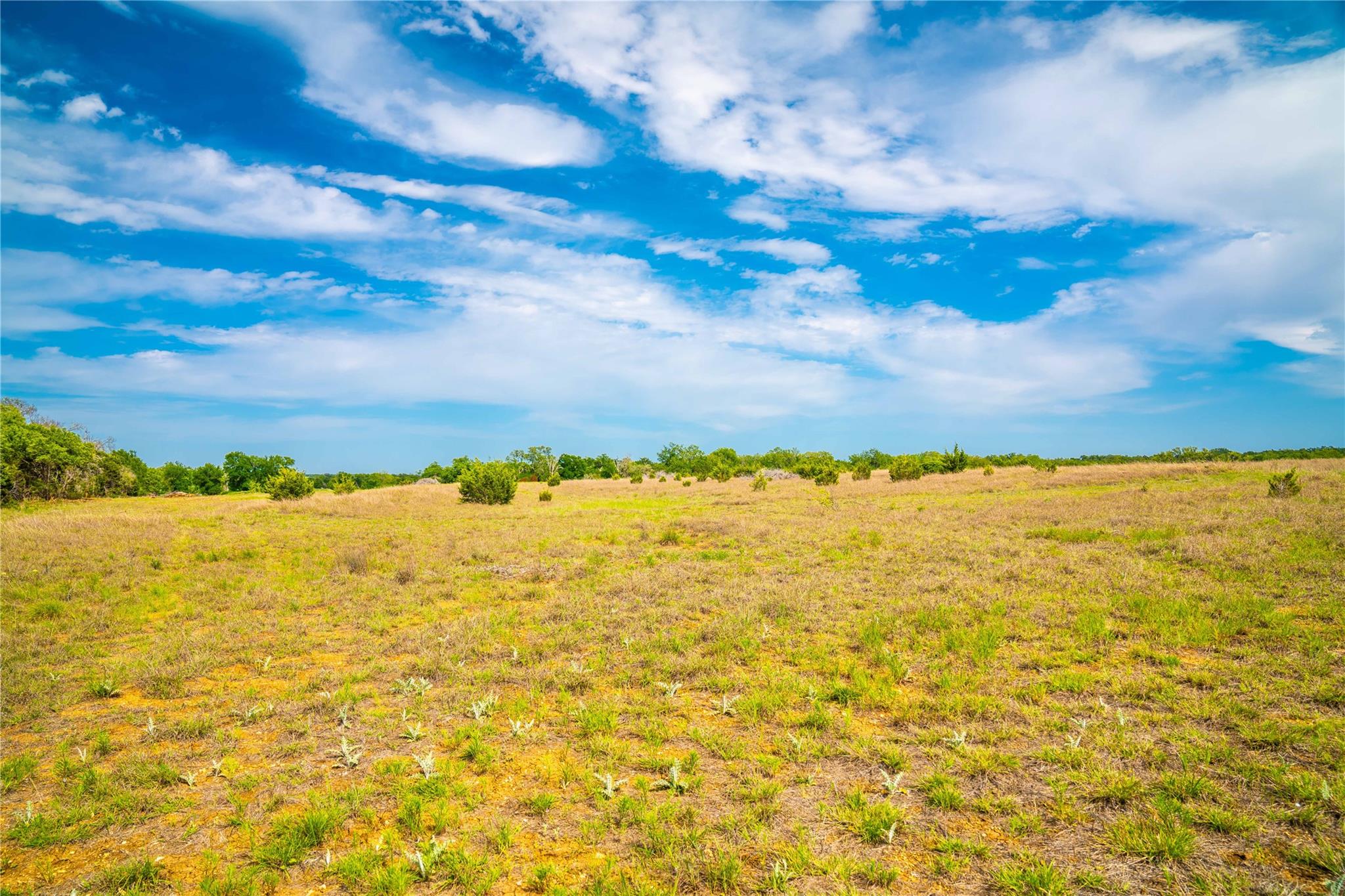 Tbd Tracts 5 And 6 Cr 251 Property Photo 18