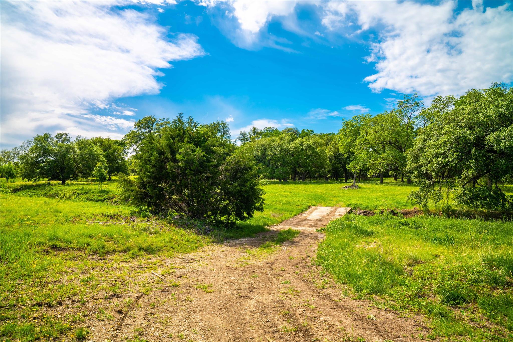 Tbd Tracts 5 And 6 Cr 251 Property Photo 19