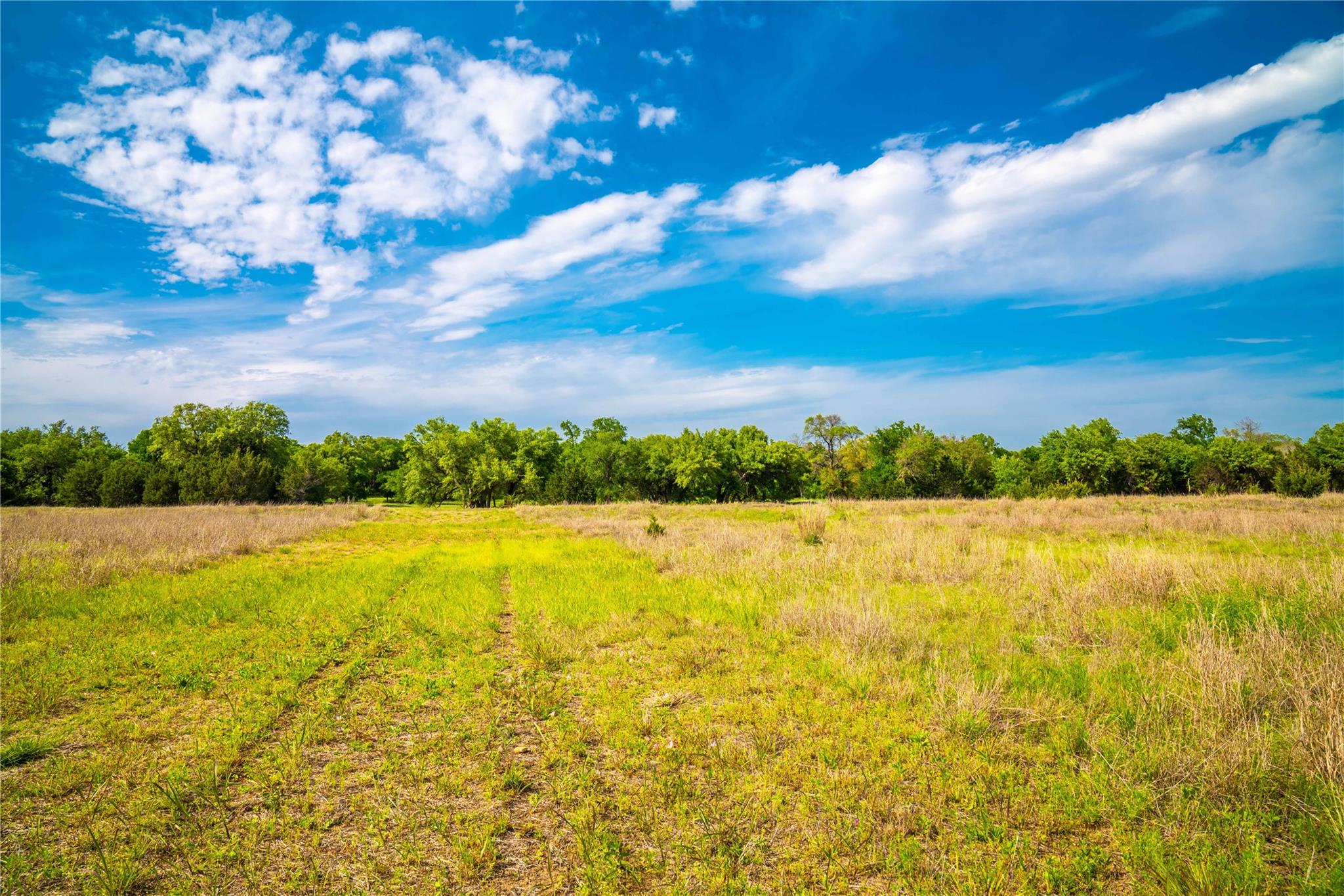 Tbd Tracts 5 And 6 Cr 251 Property Photo 29