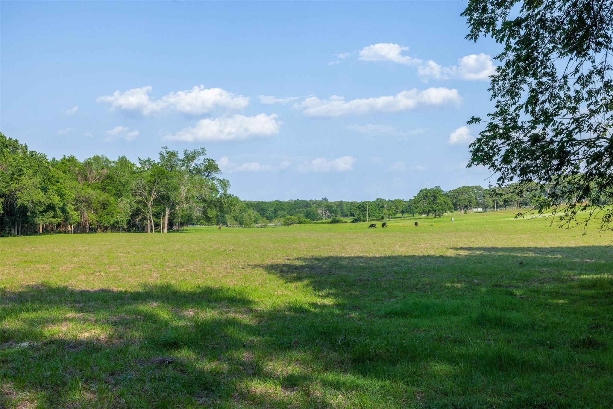 3004 County Road 310 None Property Photo 37