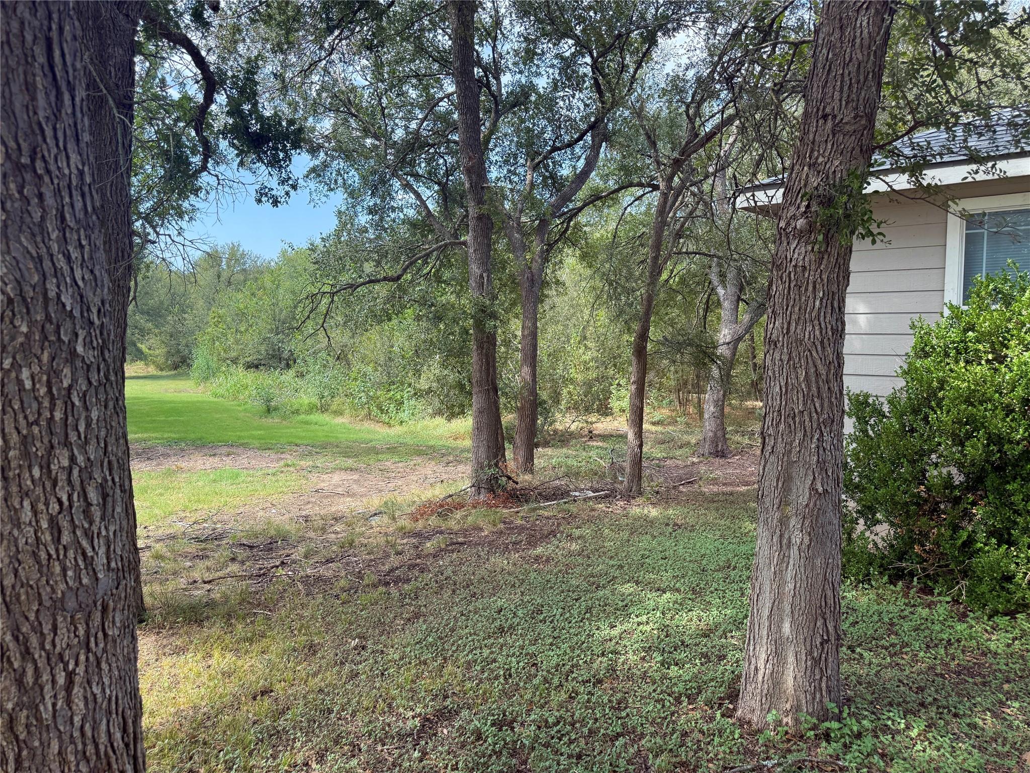 13100 Winecup Mallow Trl Property Photo 2