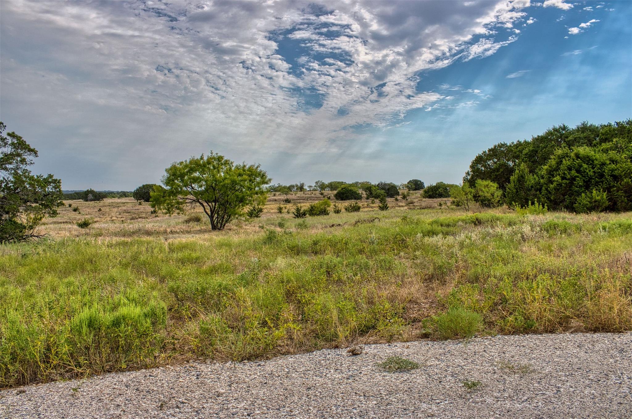 Lot 9 Us Hwy 190 Hwy Property Photo 11