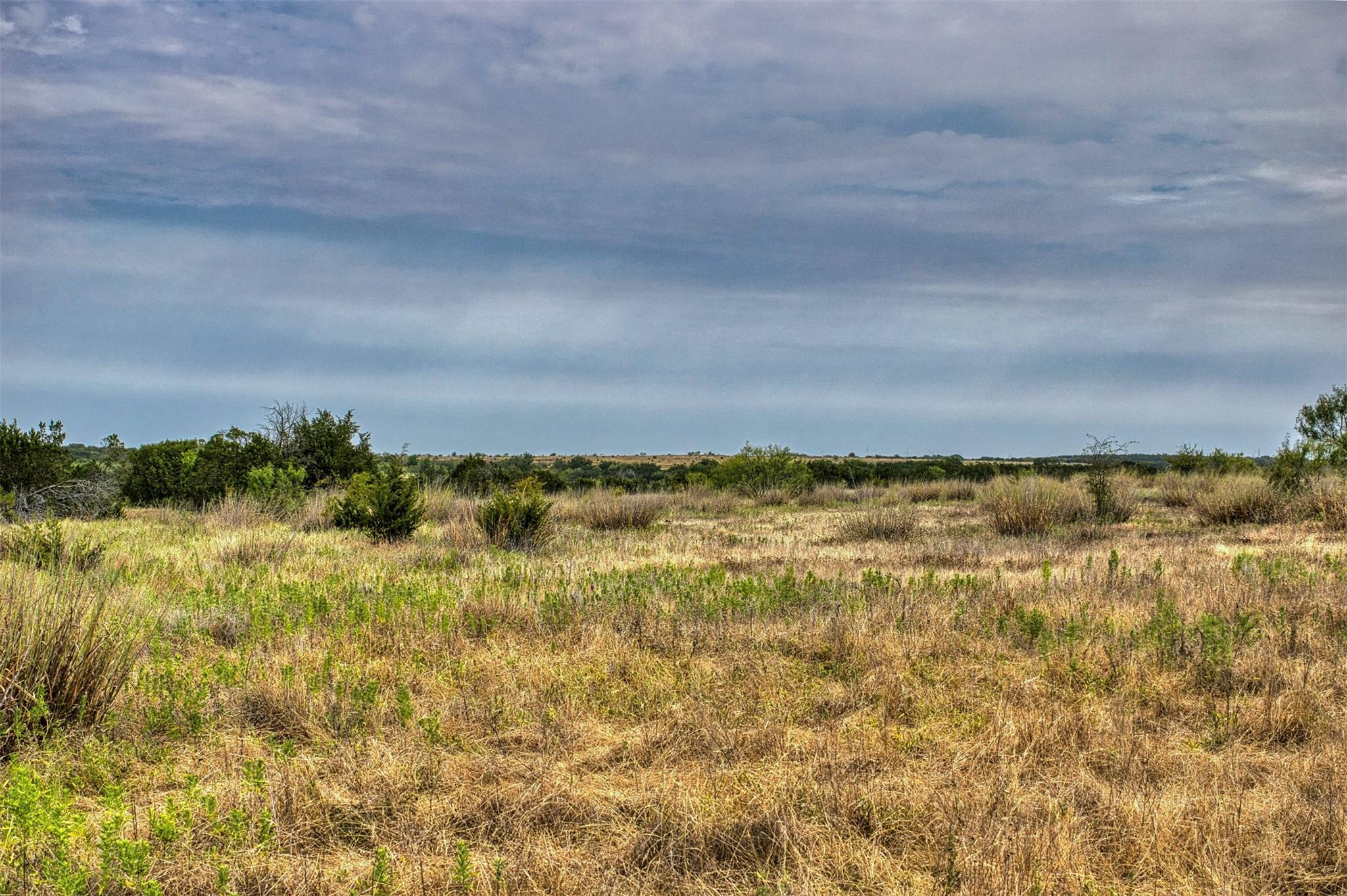 Lot 9 Us Hwy 190 Hwy Property Photo 13