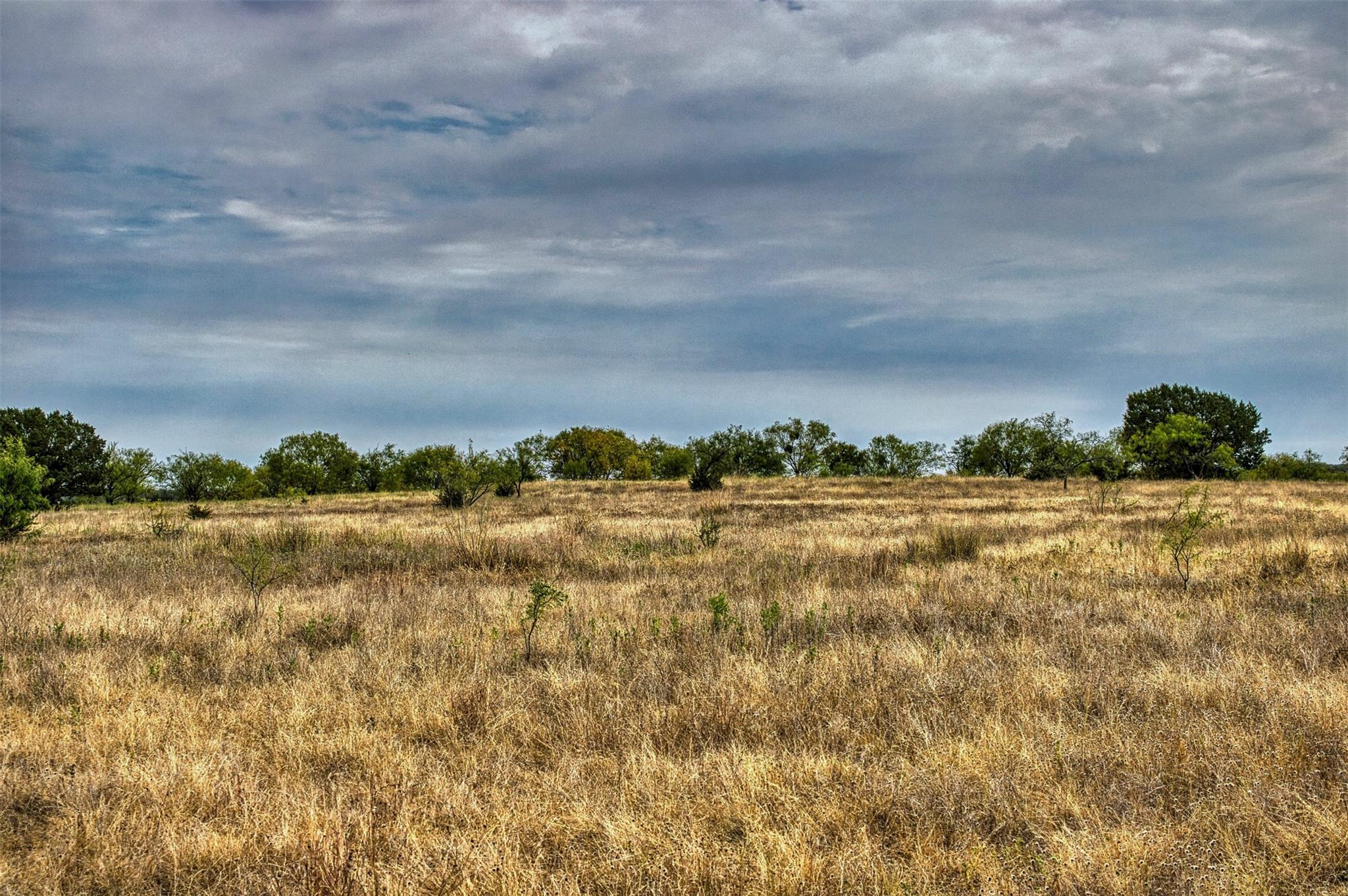 Lot 9 Us Hwy 190 Hwy Property Photo 14