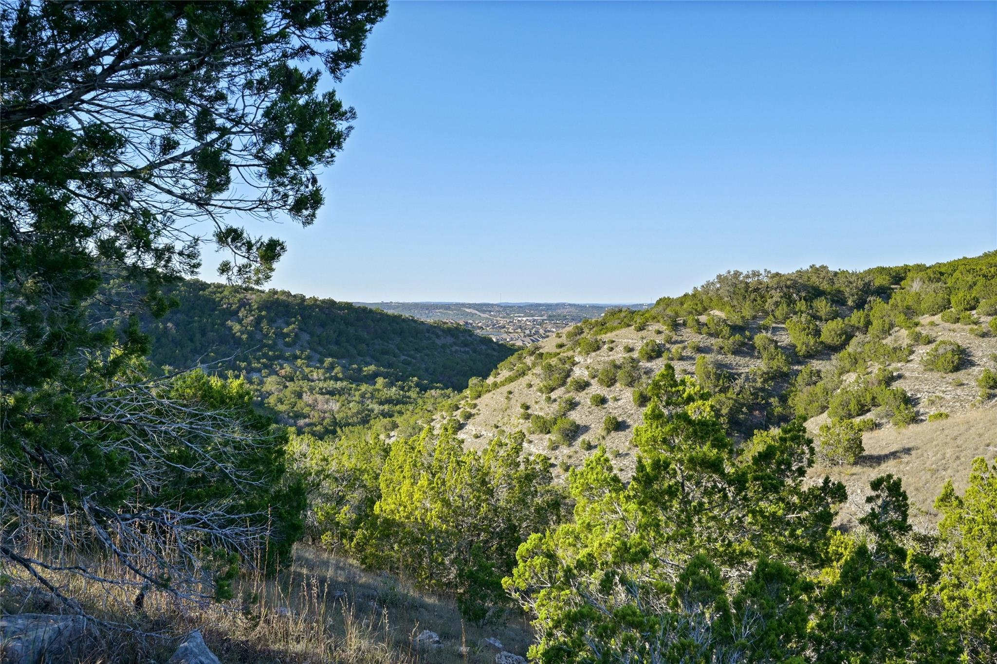 17405 Auburn Vista Cv Property Photo 6