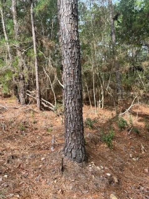 Lot 345 Wainee Dr Property Photo 1