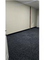 305 Remuda Dr Property Photo 14