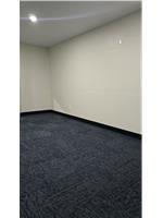 305 Remuda Dr Property Photo 16