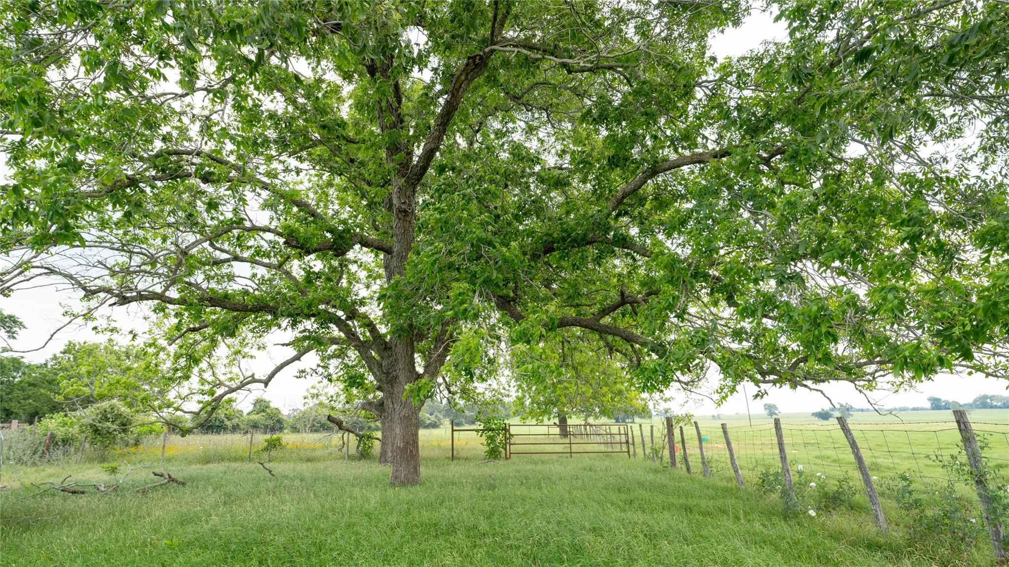 0000 Cr 316 None Property Photo 2