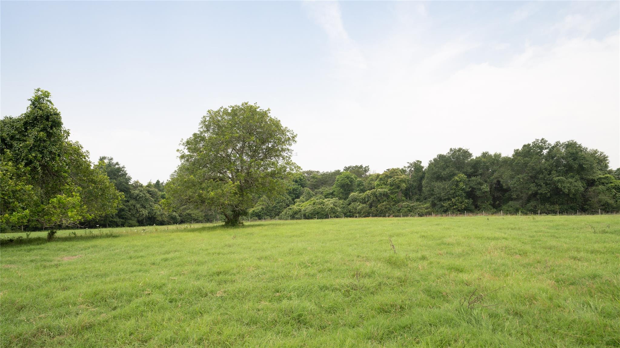 0000 Cr 316 None Property Photo 15