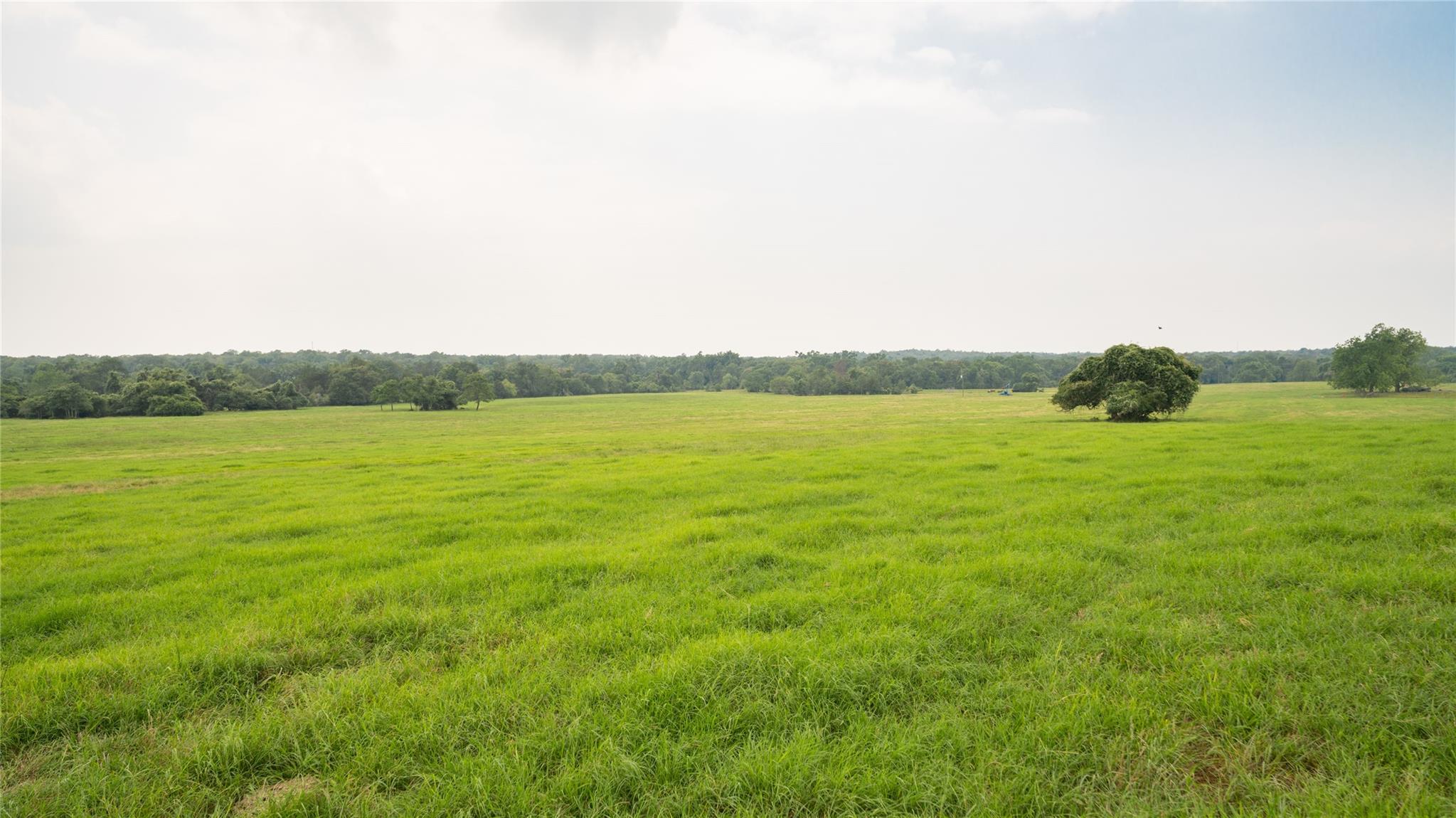 0000 Cr 316 None Property Photo 16