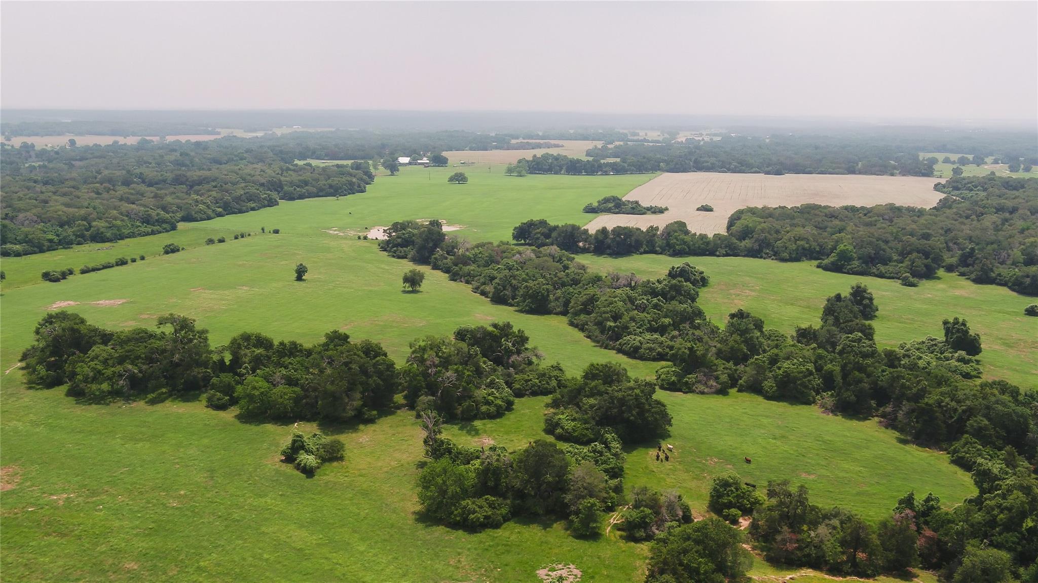 0000 Cr 316 None Property Photo 18