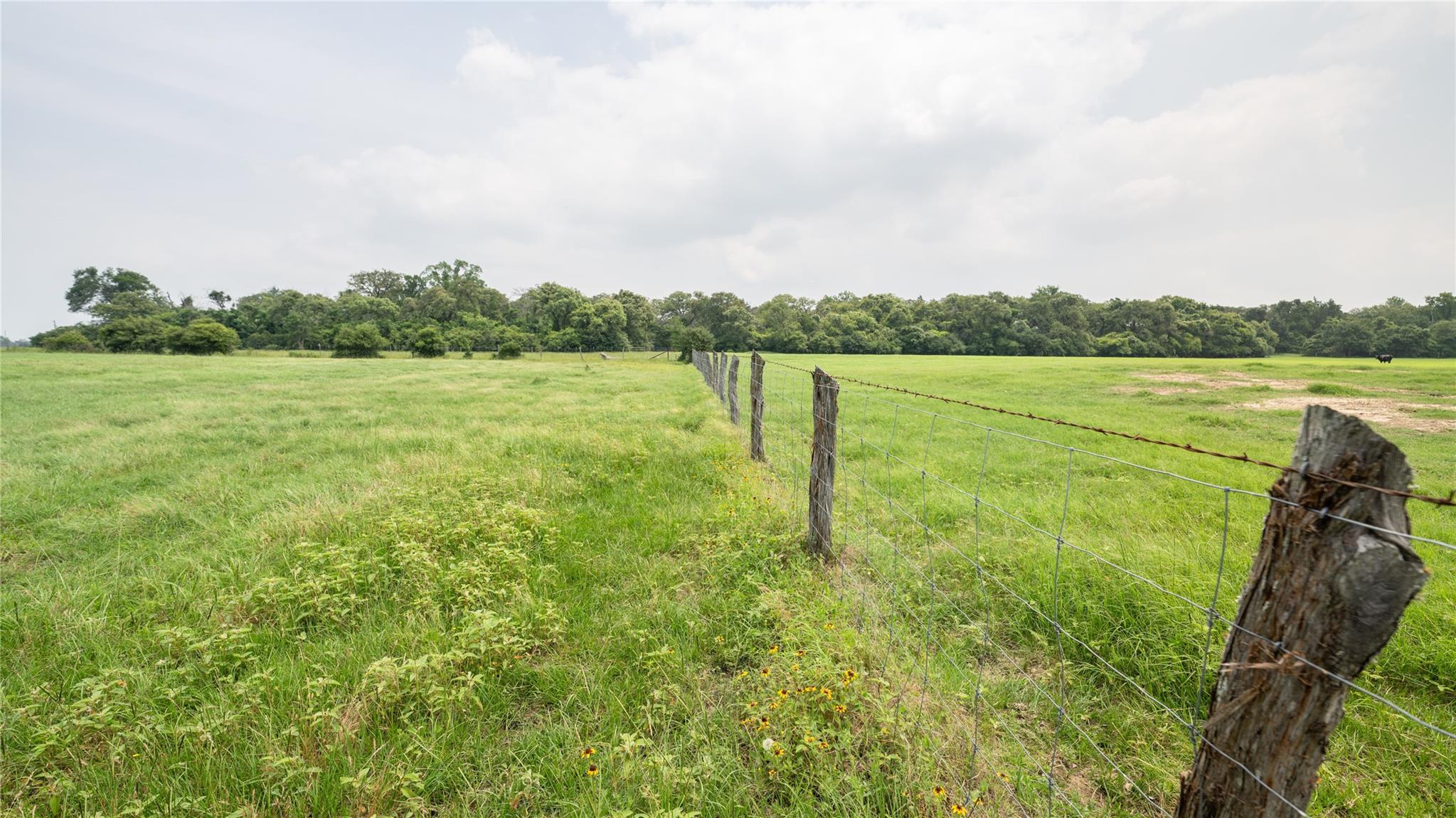 0000 Cr 316 None Property Photo 27