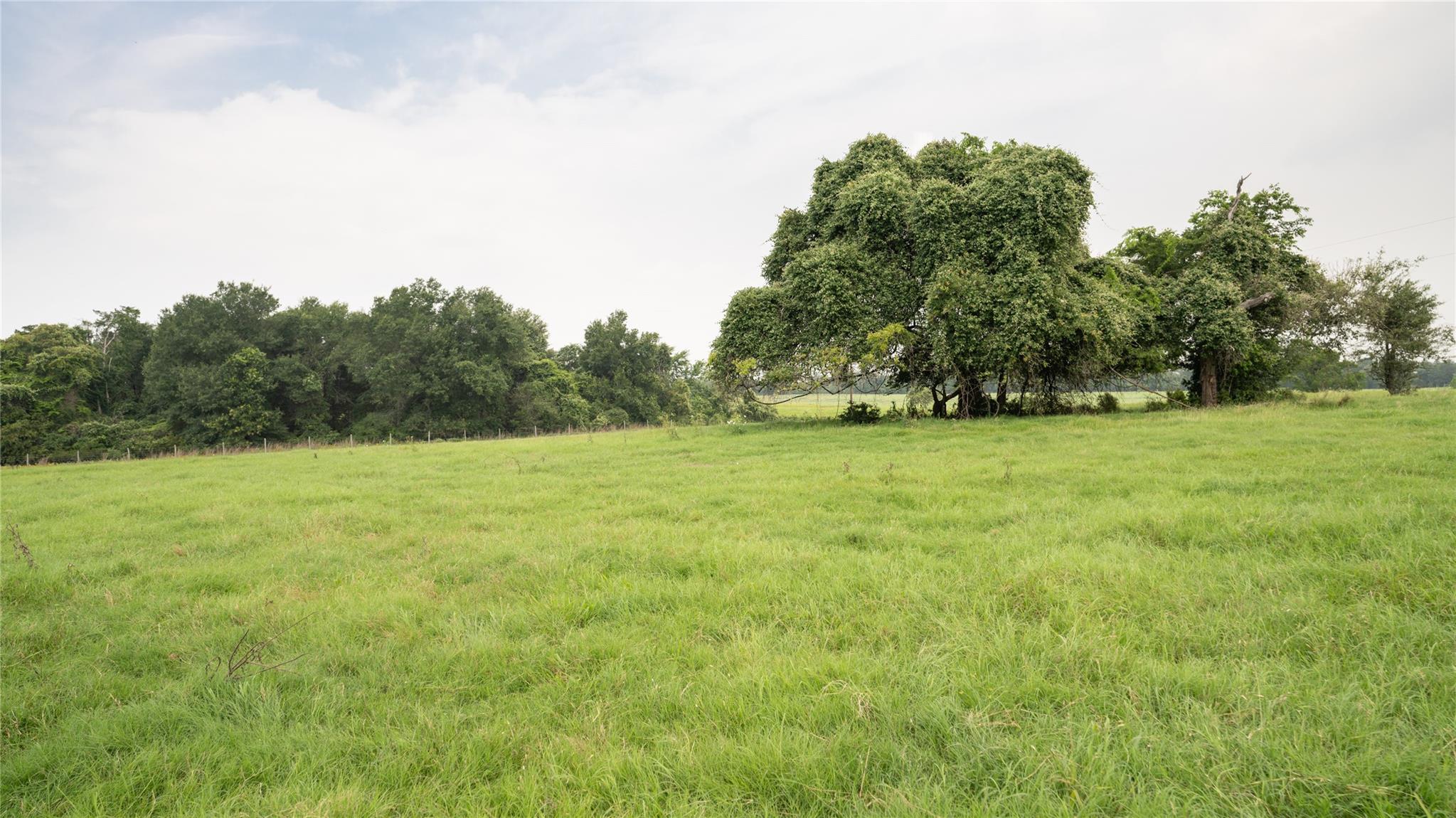 0000 Cr 316 None Property Photo 33