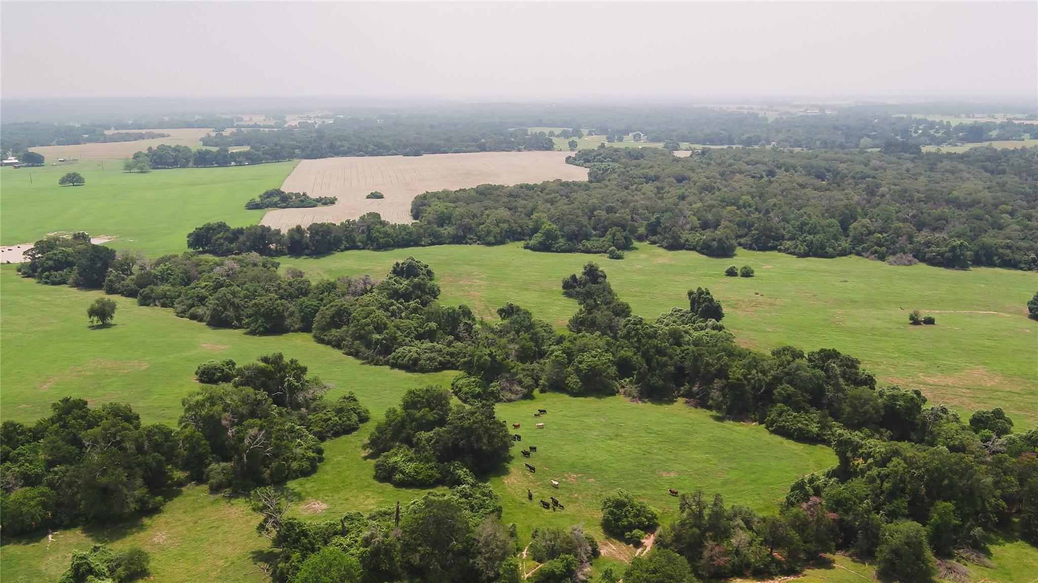 0000 Cr 316 None Property Photo 36