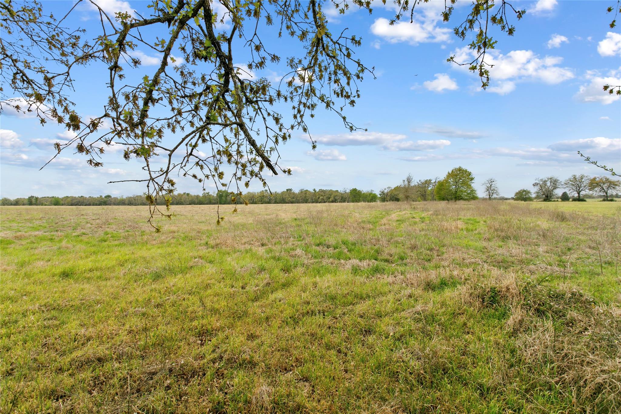 Lot 46 - Tbd Creekside Ln Property Photo 5