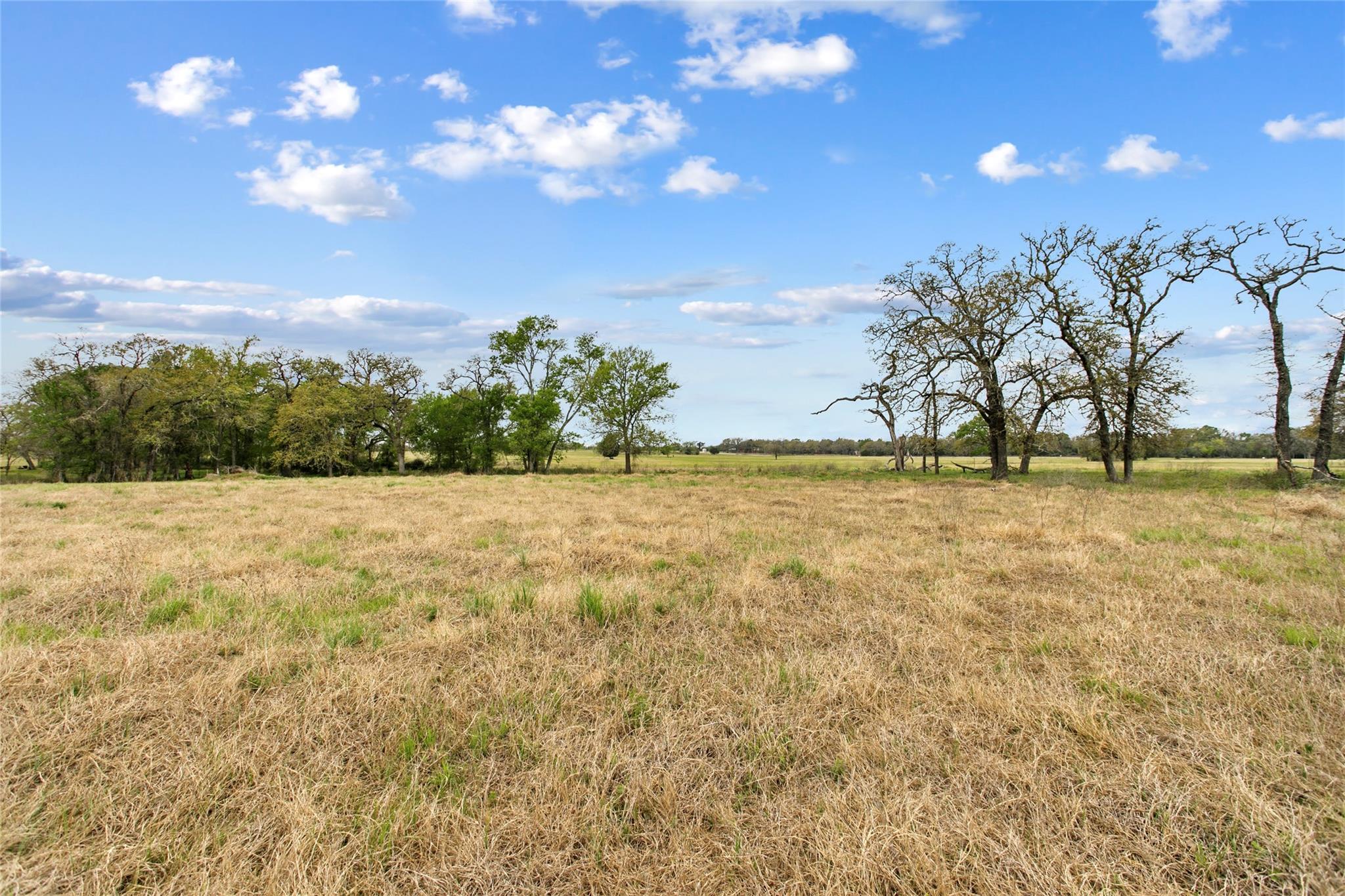Lot 46 - Tbd Creekside Ln Property Photo 7