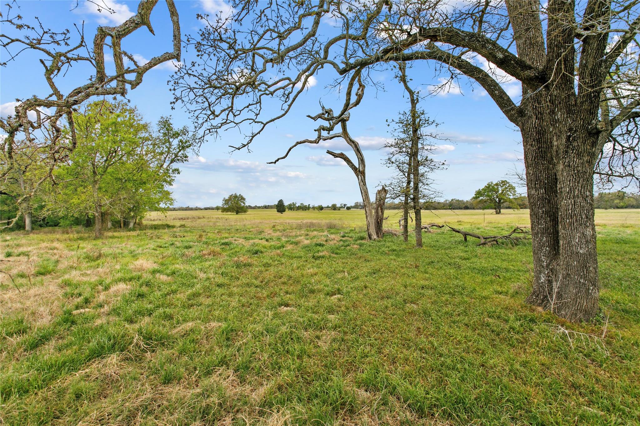 Lot 46 - Tbd Creekside Ln Property Photo 9