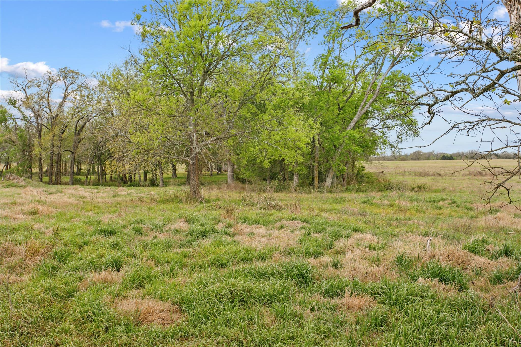 Lot 46 - Tbd Creekside Ln Property Photo 12