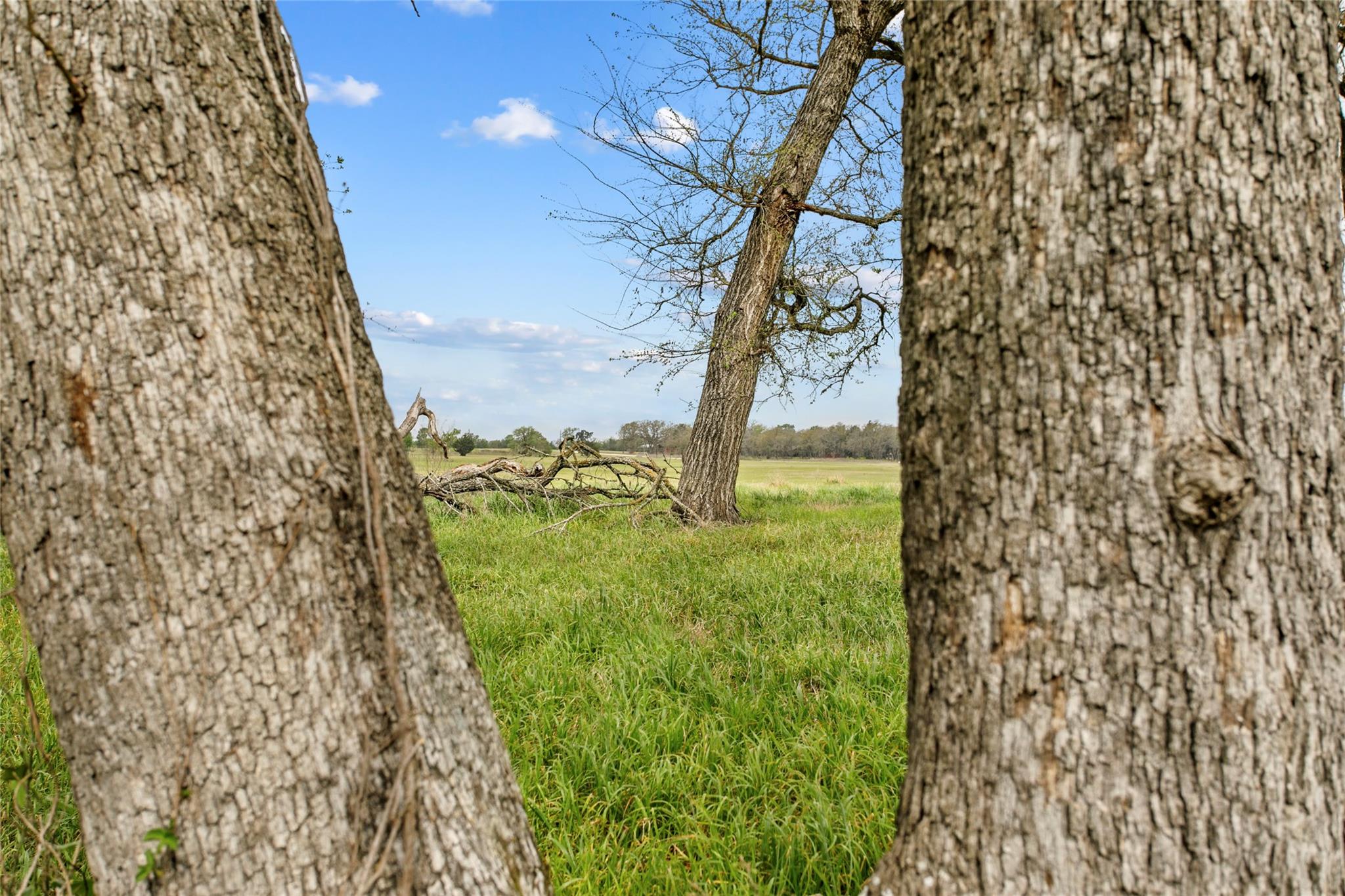 Lot 46 - Tbd Creekside Ln Property Photo 14
