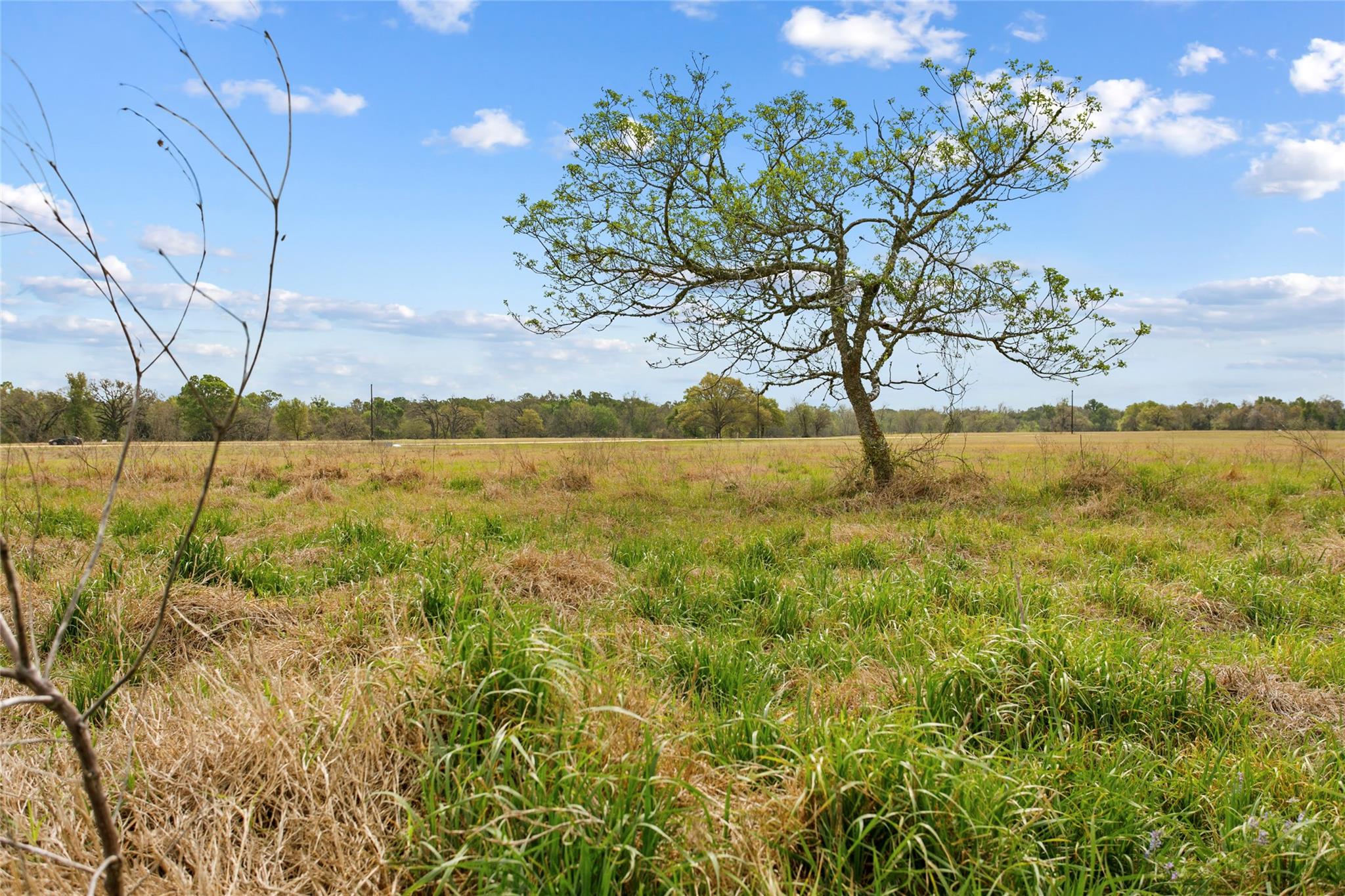 Lot 46 - Tbd Creekside Ln Property Photo 16