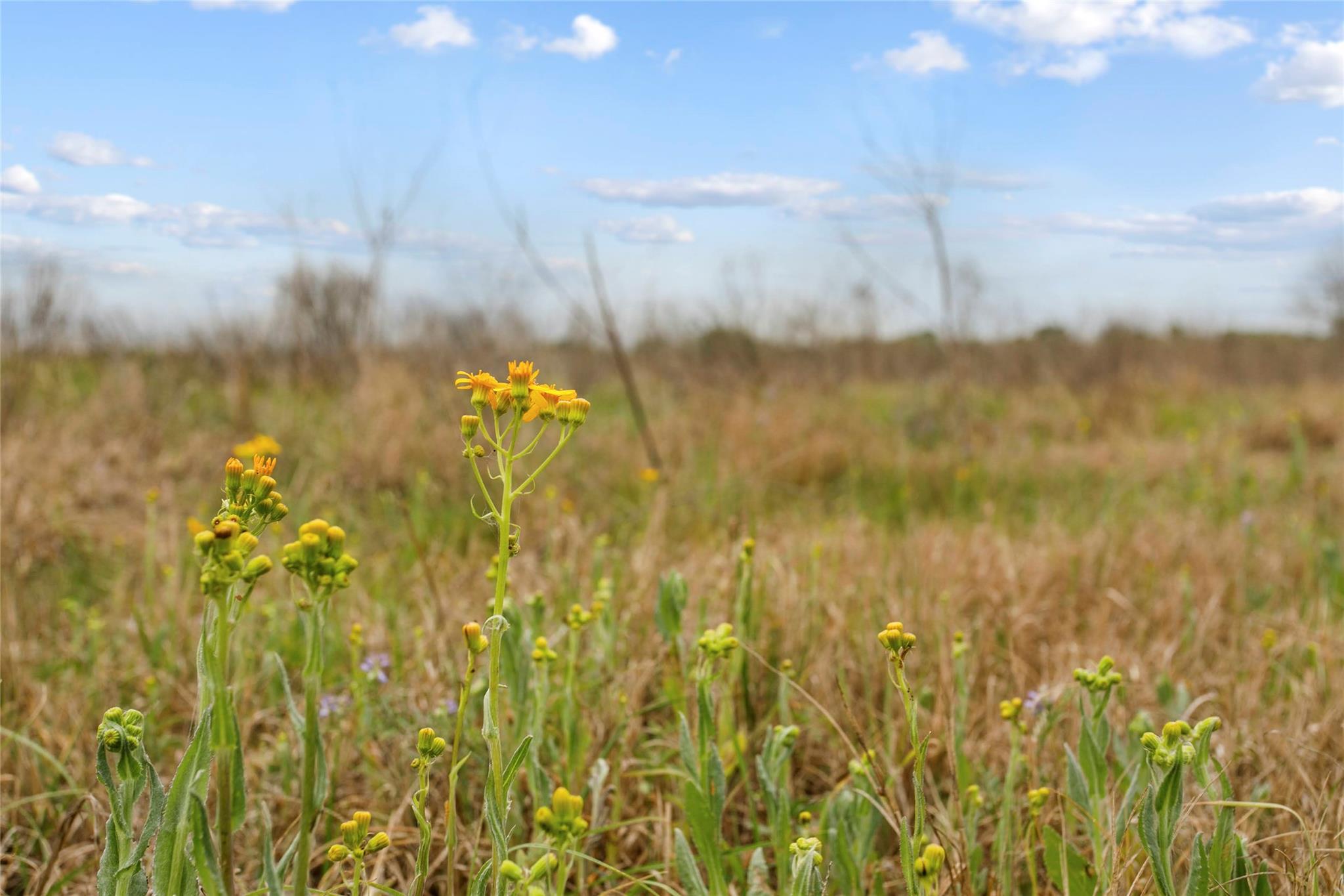 Lot 46 - Tbd Creekside Ln Property Photo 17