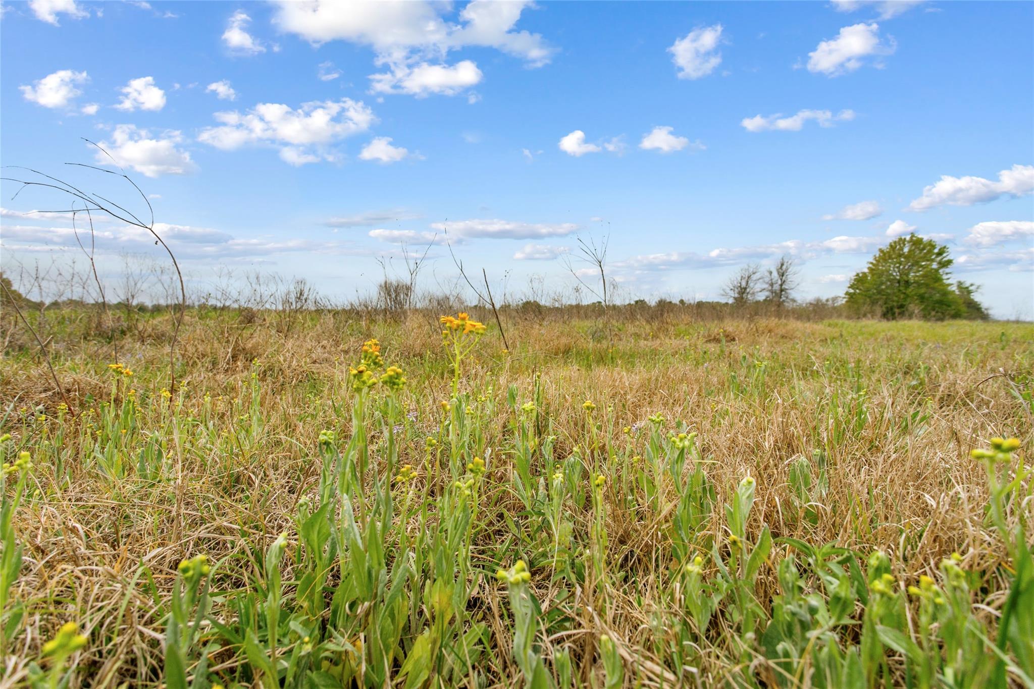 Lot 46 - Tbd Creekside Ln Property Photo 18