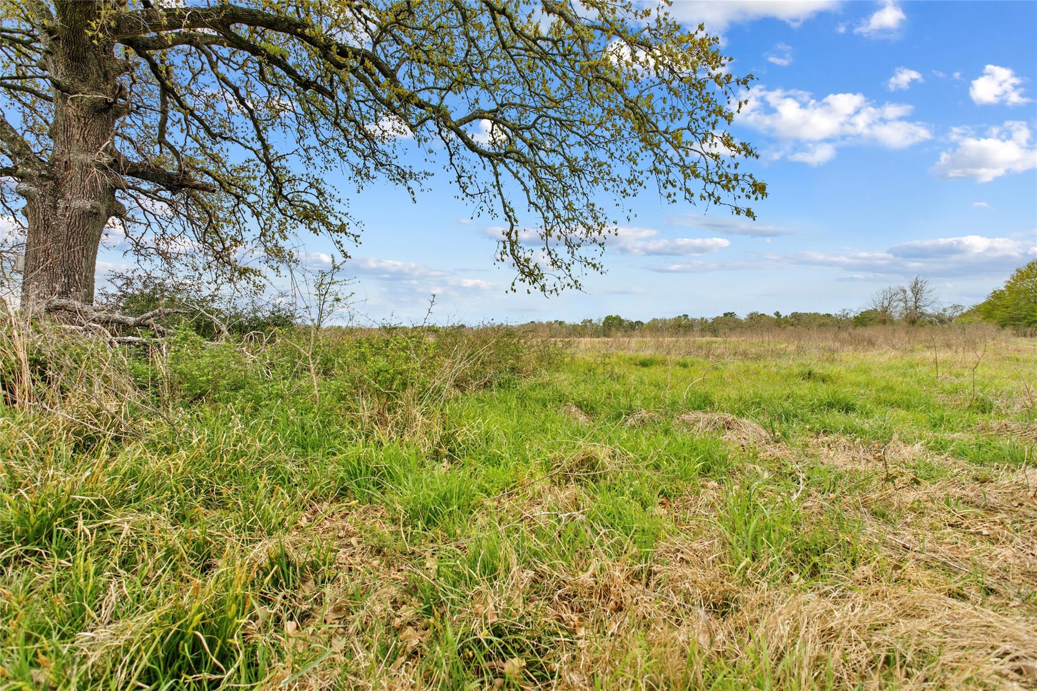 Lot 46 - Tbd Creekside Ln Property Photo 19