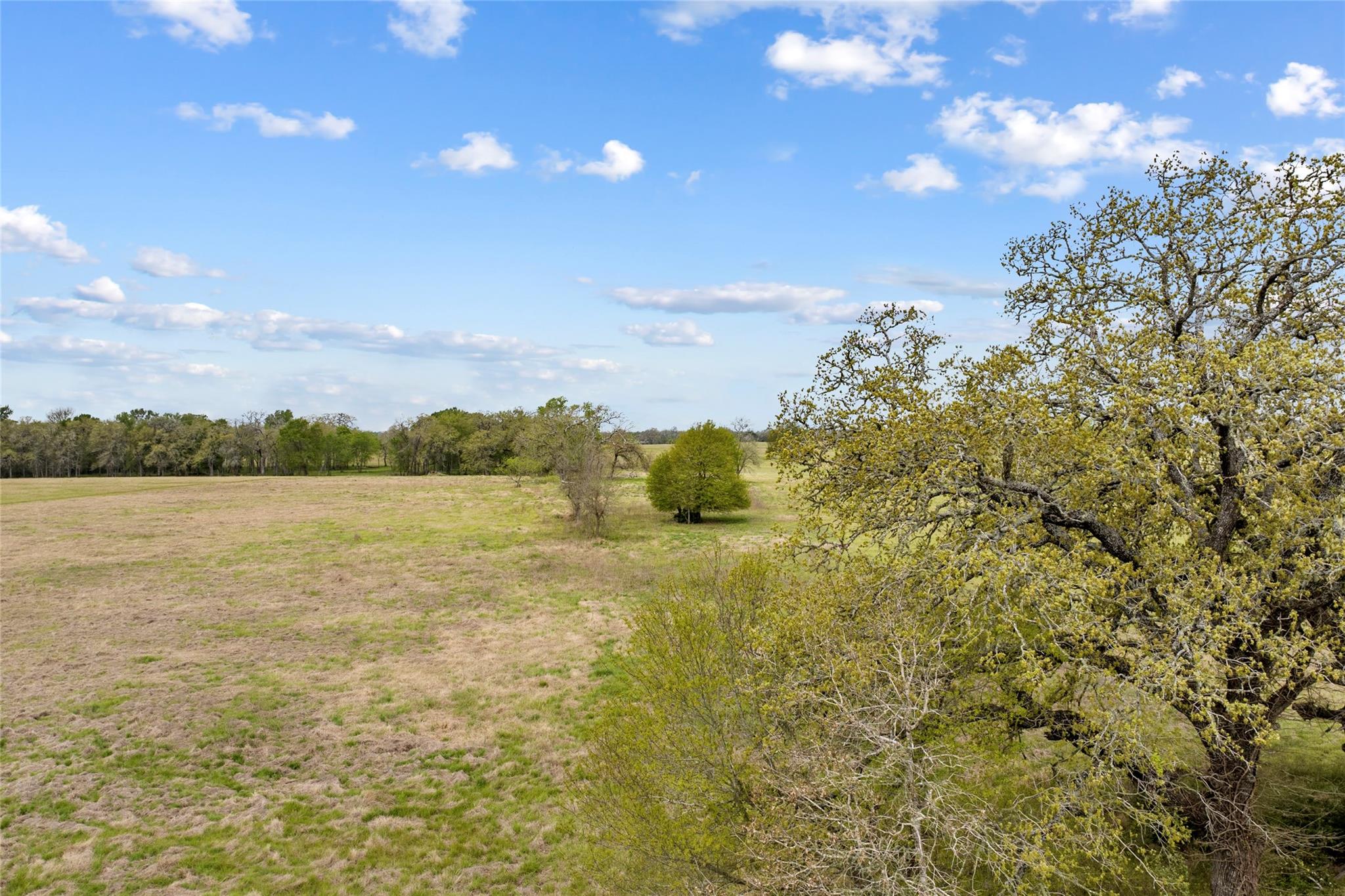 Lot 46 - Tbd Creekside Ln Property Photo 28
