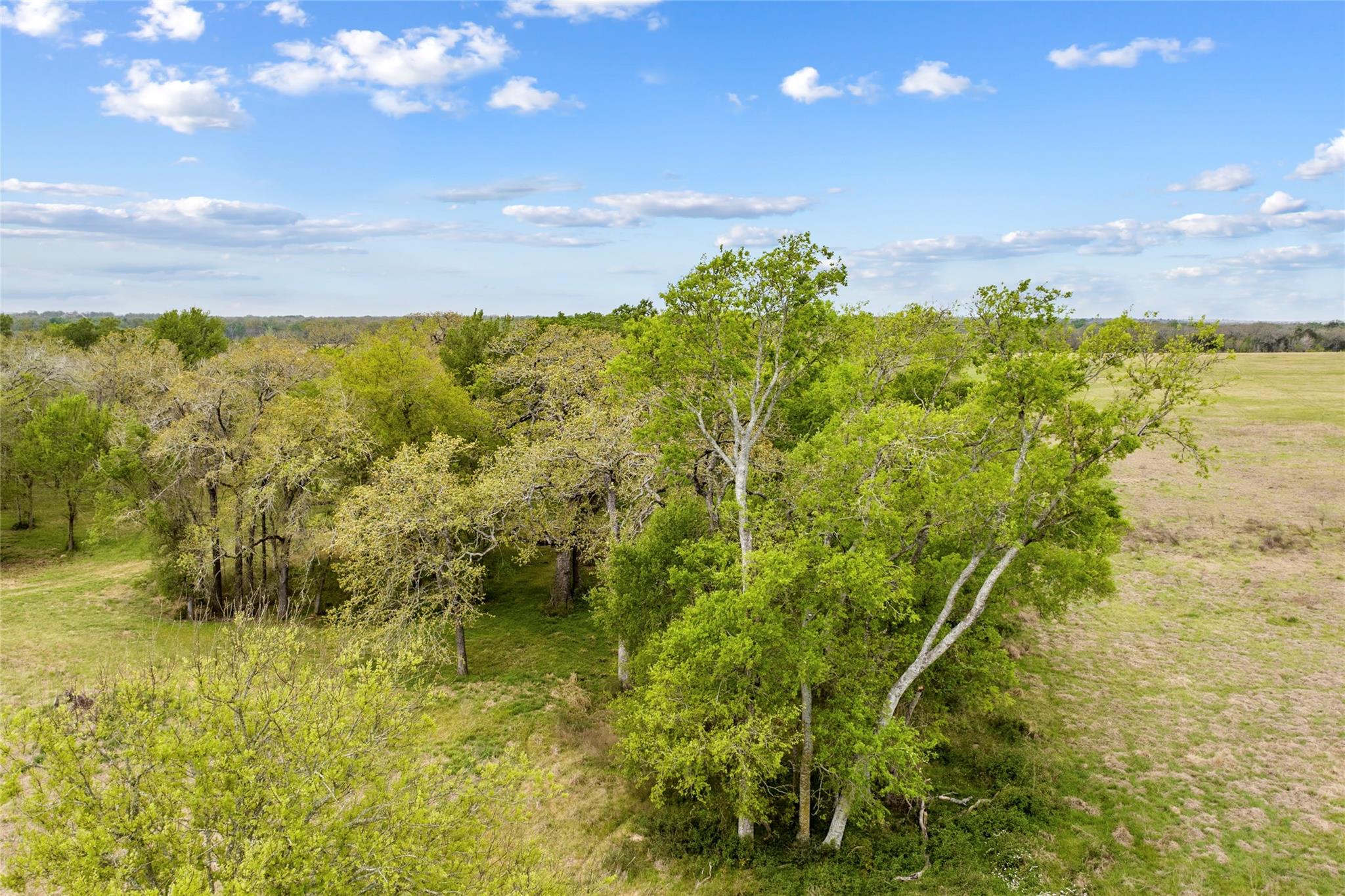 Lot 46 - Tbd Creekside Ln Property Photo 29