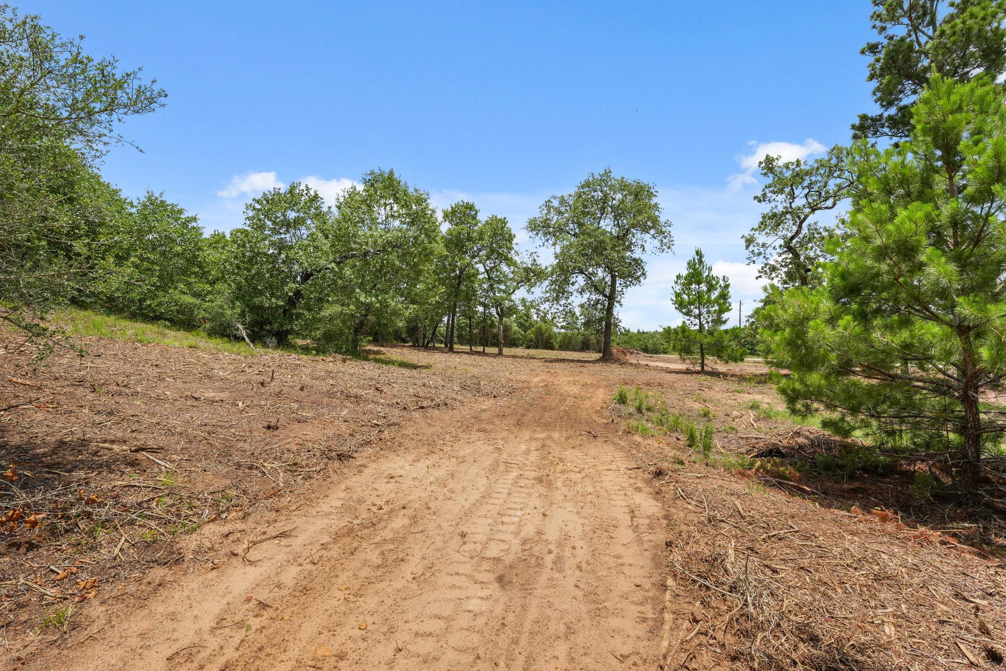 Tbd Linda Ln Property Photo 12