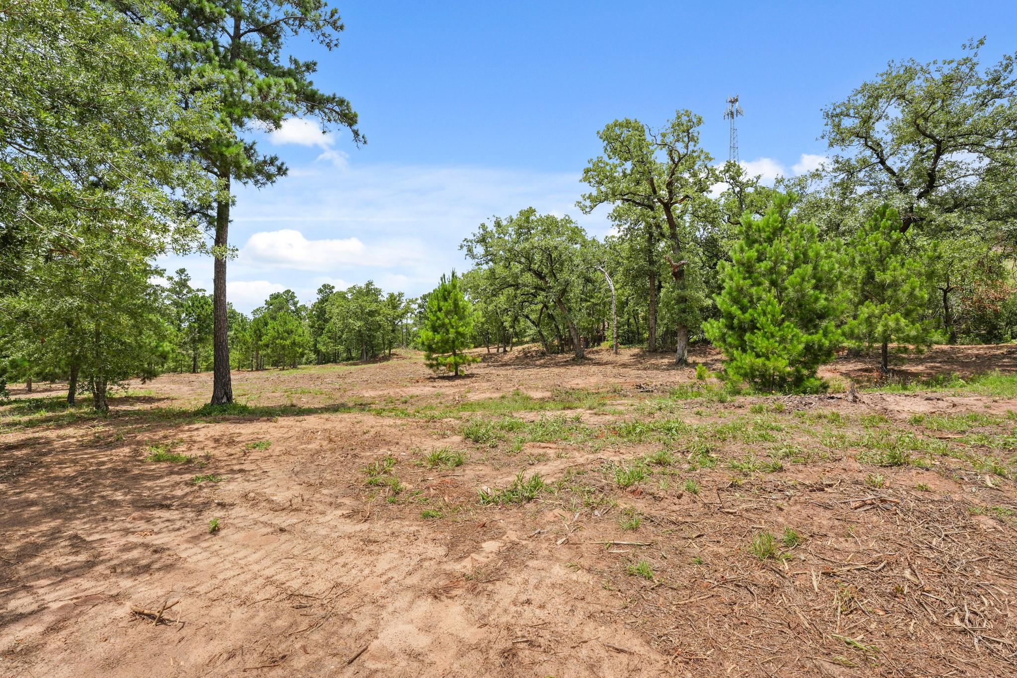 Tbd Linda Ln Property Photo 19