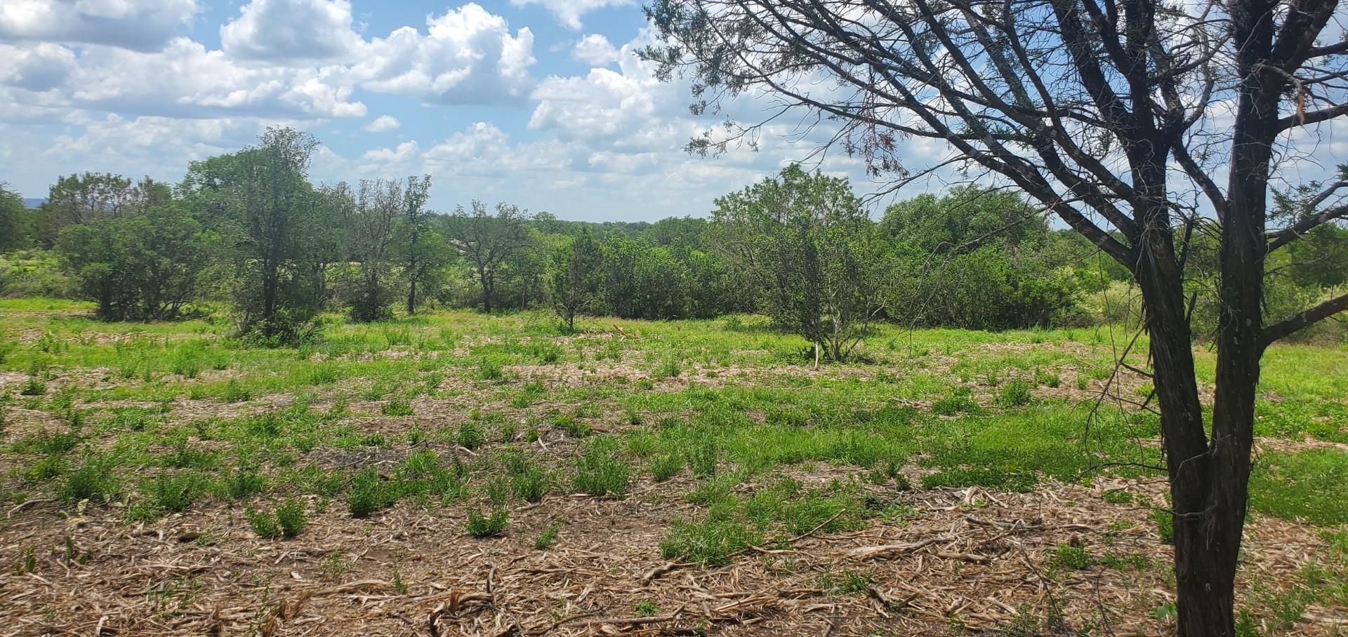 Tract 6 Lehne Loop Property Photo 8