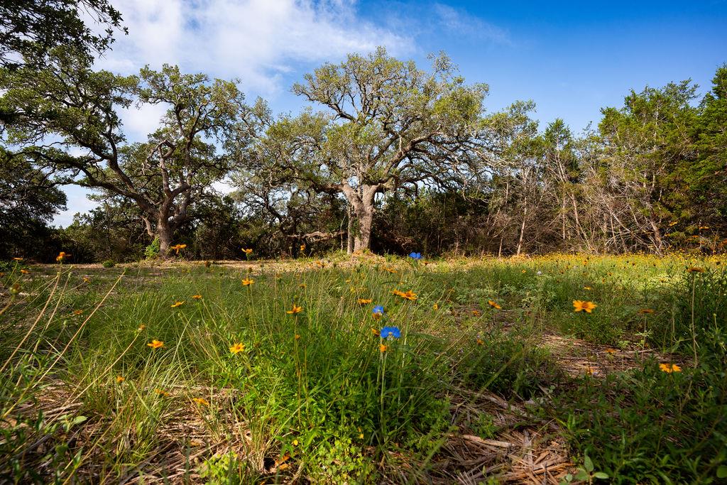 Tbd Gatlin Creek Rd Property Photo