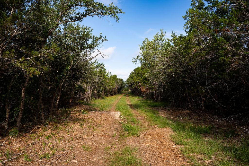 Tbd Gatlin Creek Rd Property Photo 8