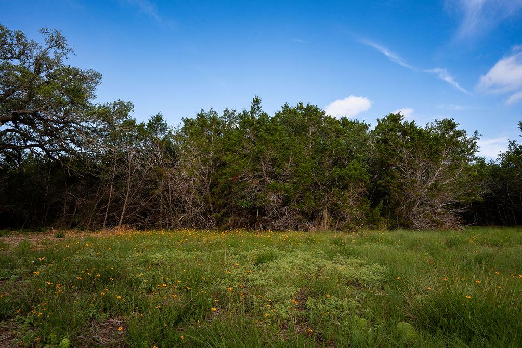 Tbd Gatlin Creek Rd Property Photo 11