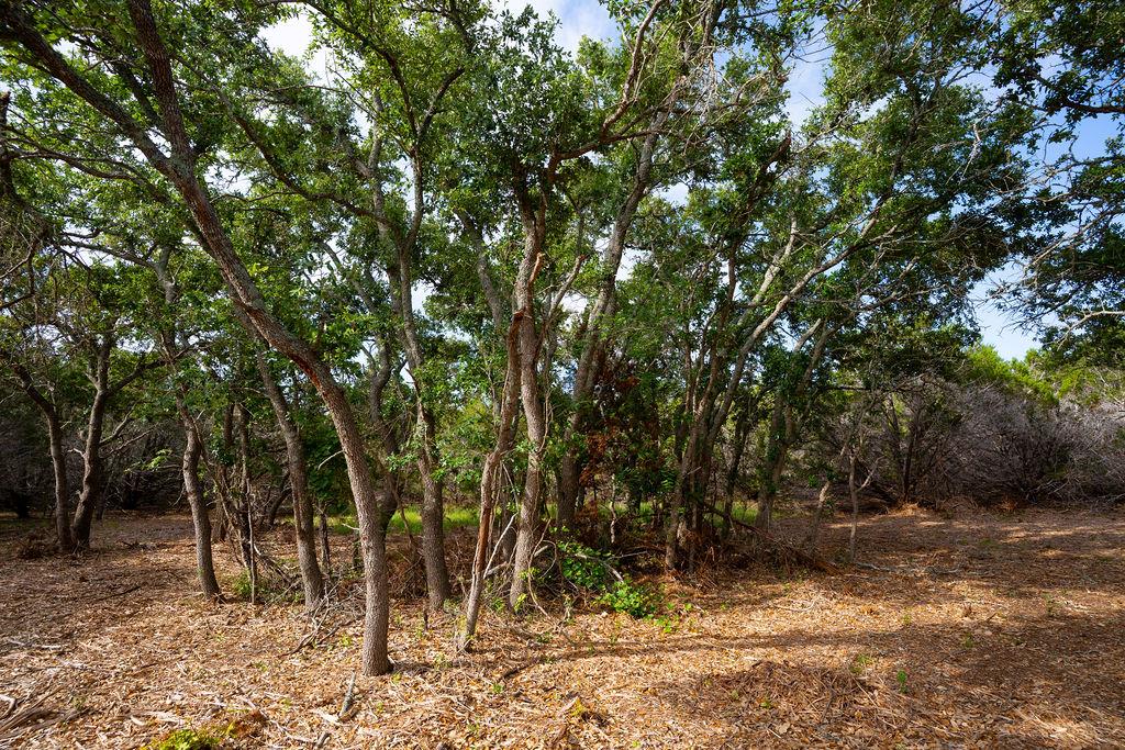 Tbd Gatlin Creek Rd Property Photo 14