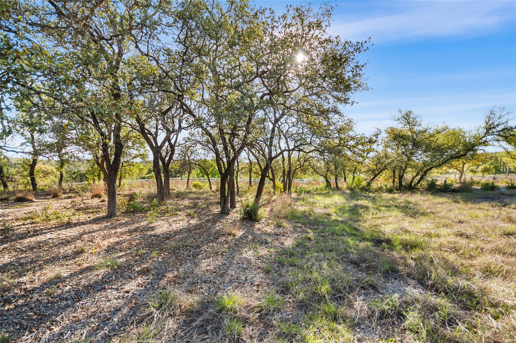 21411 Hamilton Pool Rd Property Photo 15