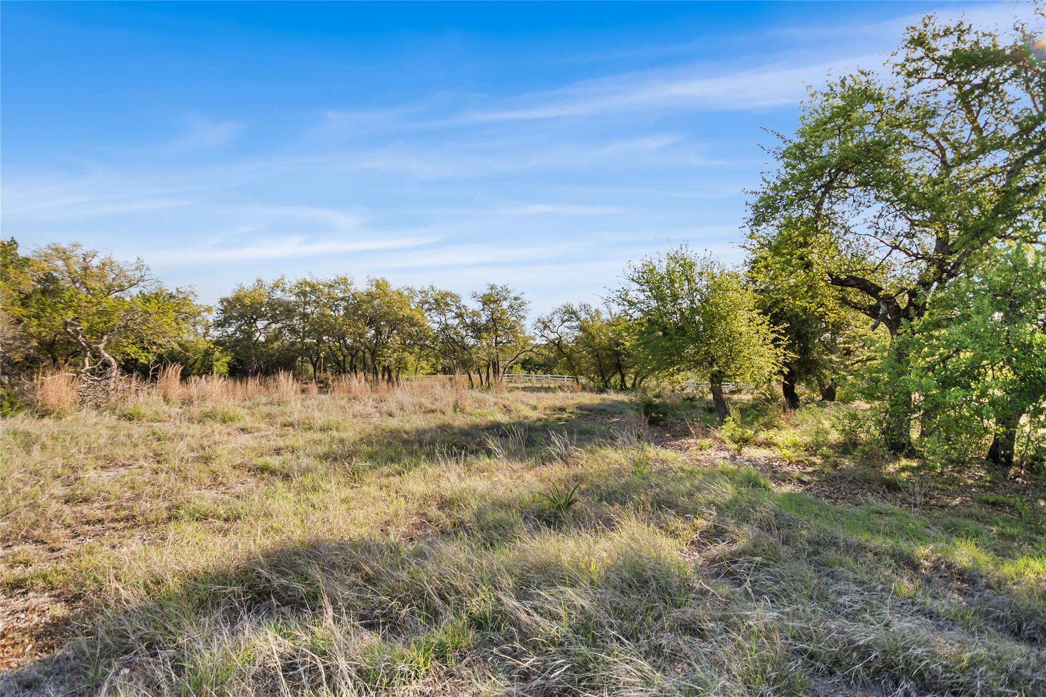 21411 Hamilton Pool Rd Property Photo 16
