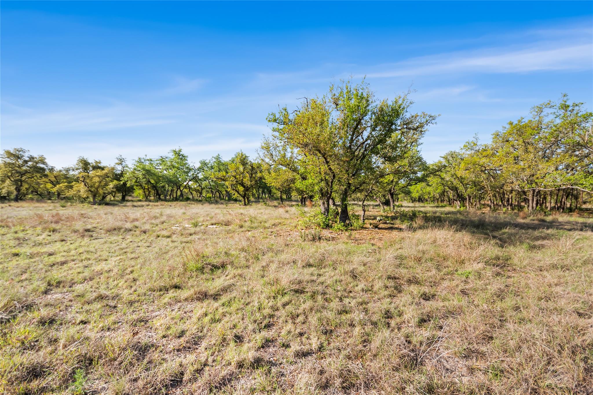 21411 Hamilton Pool Rd Property Photo 17