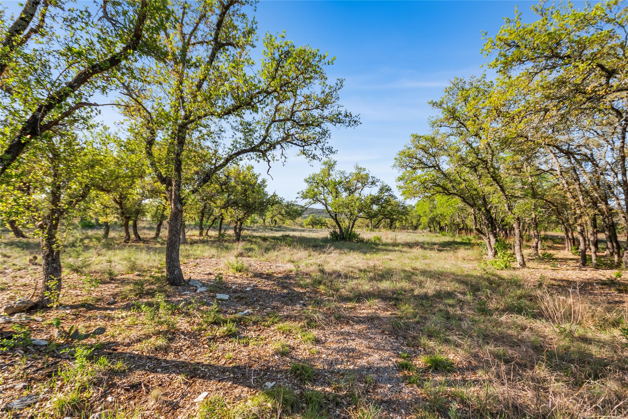 21411 Hamilton Pool Rd Property Photo 18
