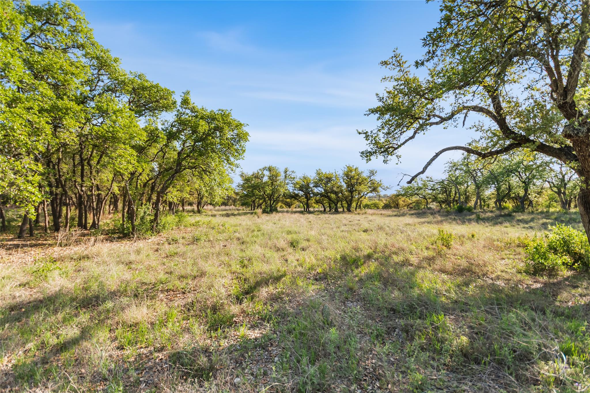 21411 Hamilton Pool Rd Property Photo 19