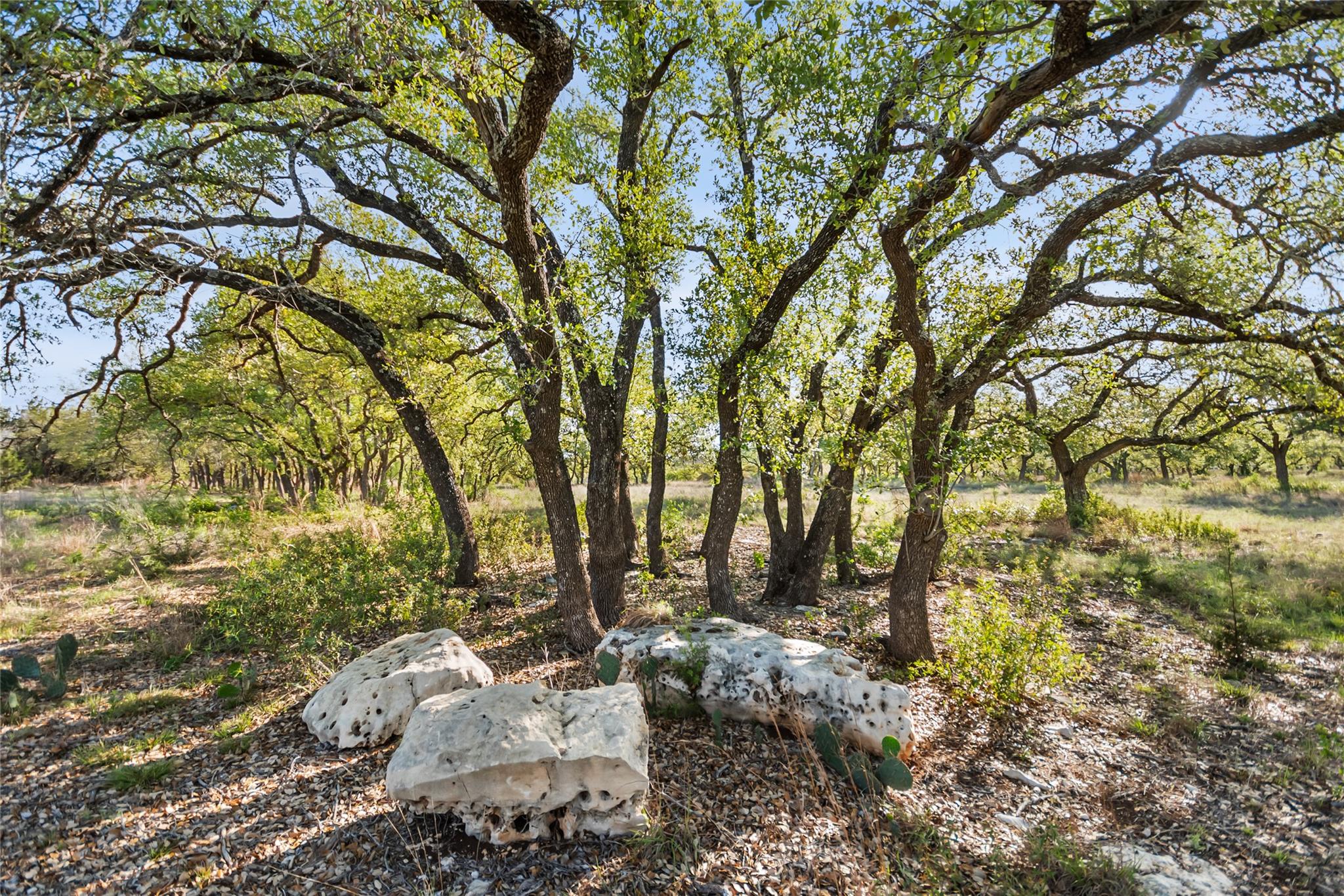 21411 Hamilton Pool Rd Property Photo 20