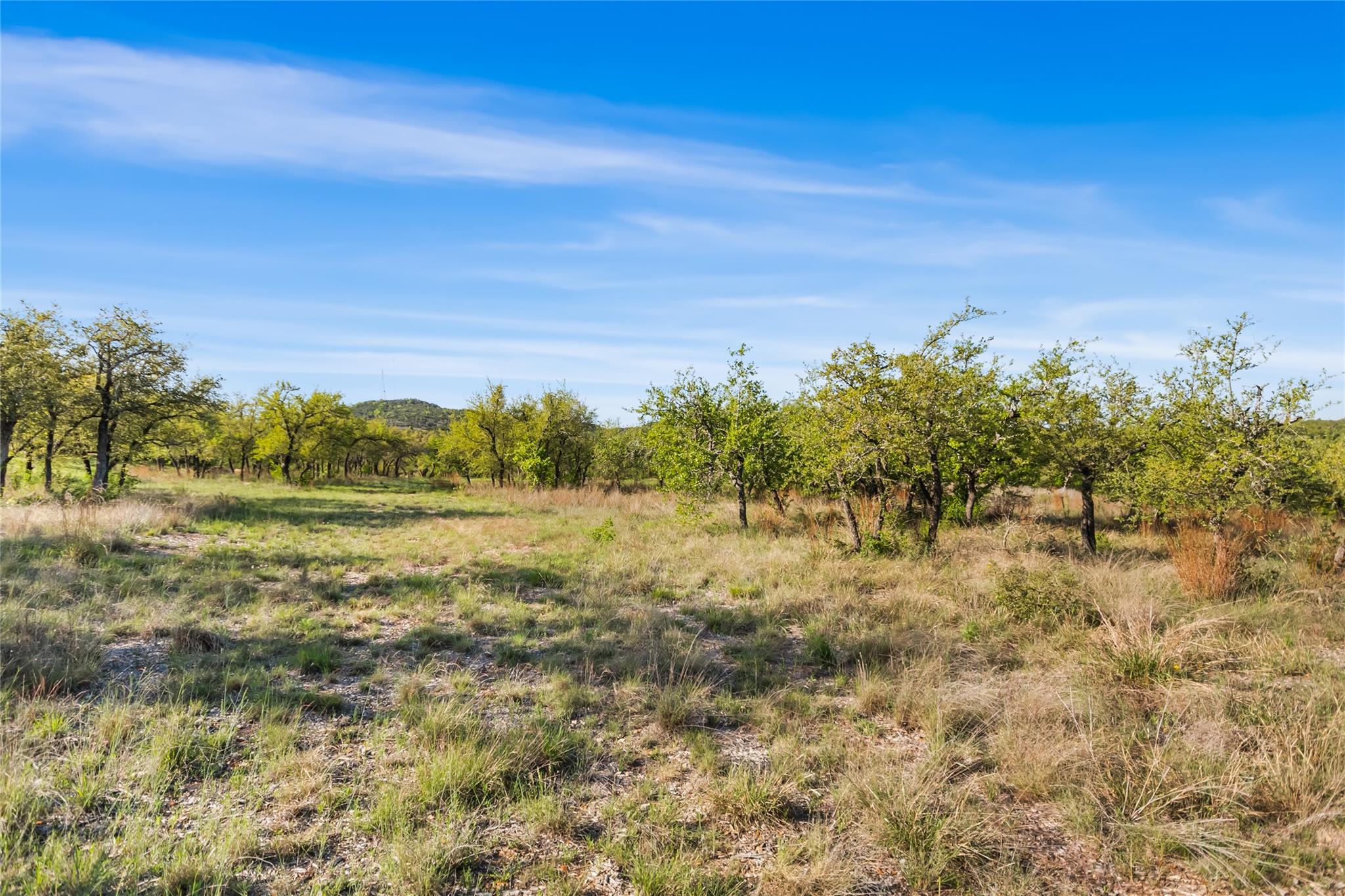 21411 Hamilton Pool Rd Property Photo 24