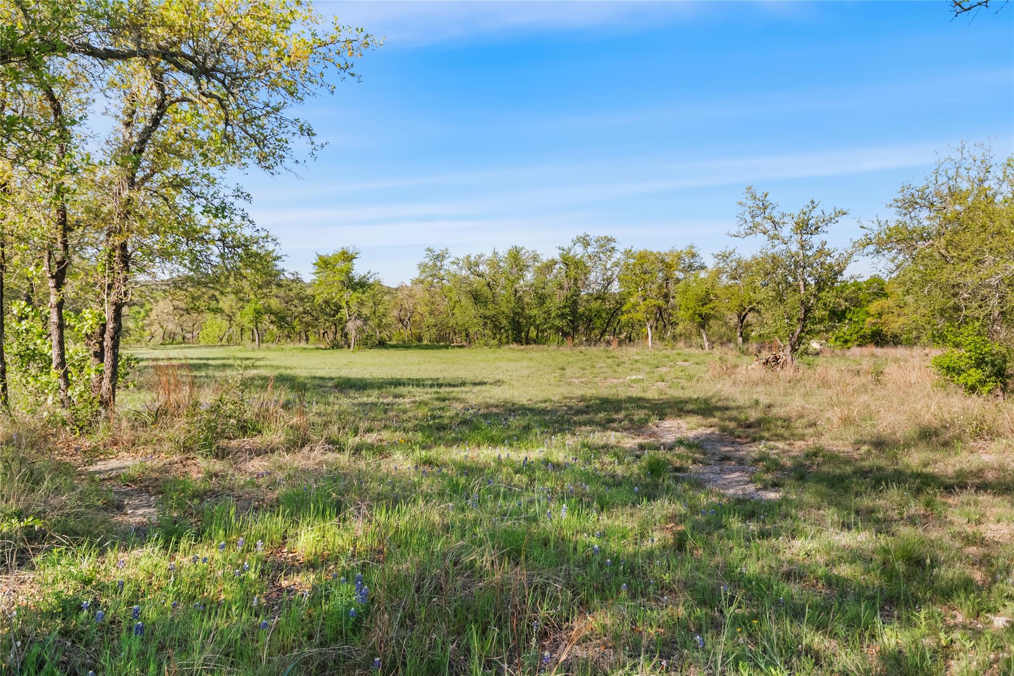21411 Hamilton Pool Rd Property Photo 25