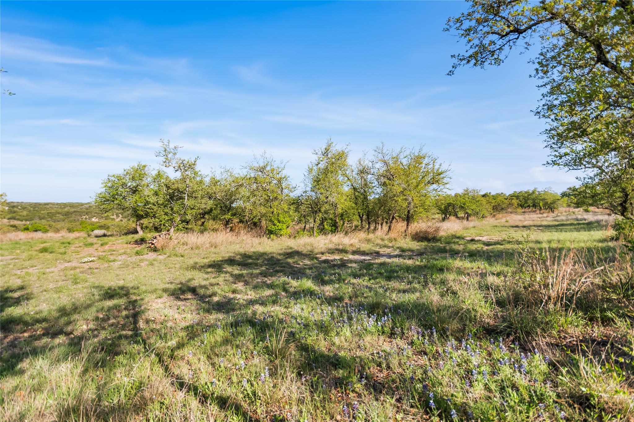 21411 Hamilton Pool Rd Property Photo 26