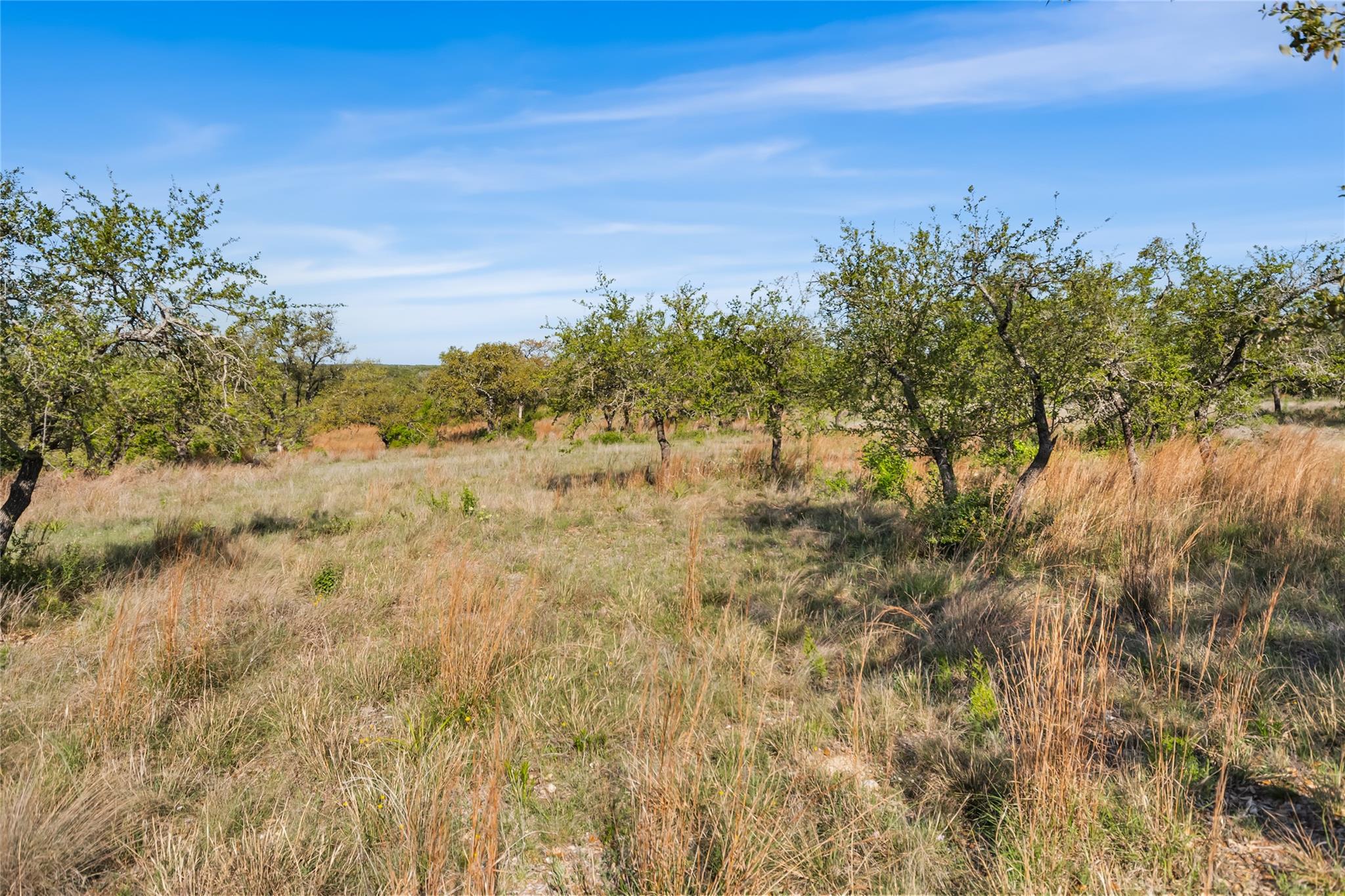 21411 Hamilton Pool Rd Property Photo 30