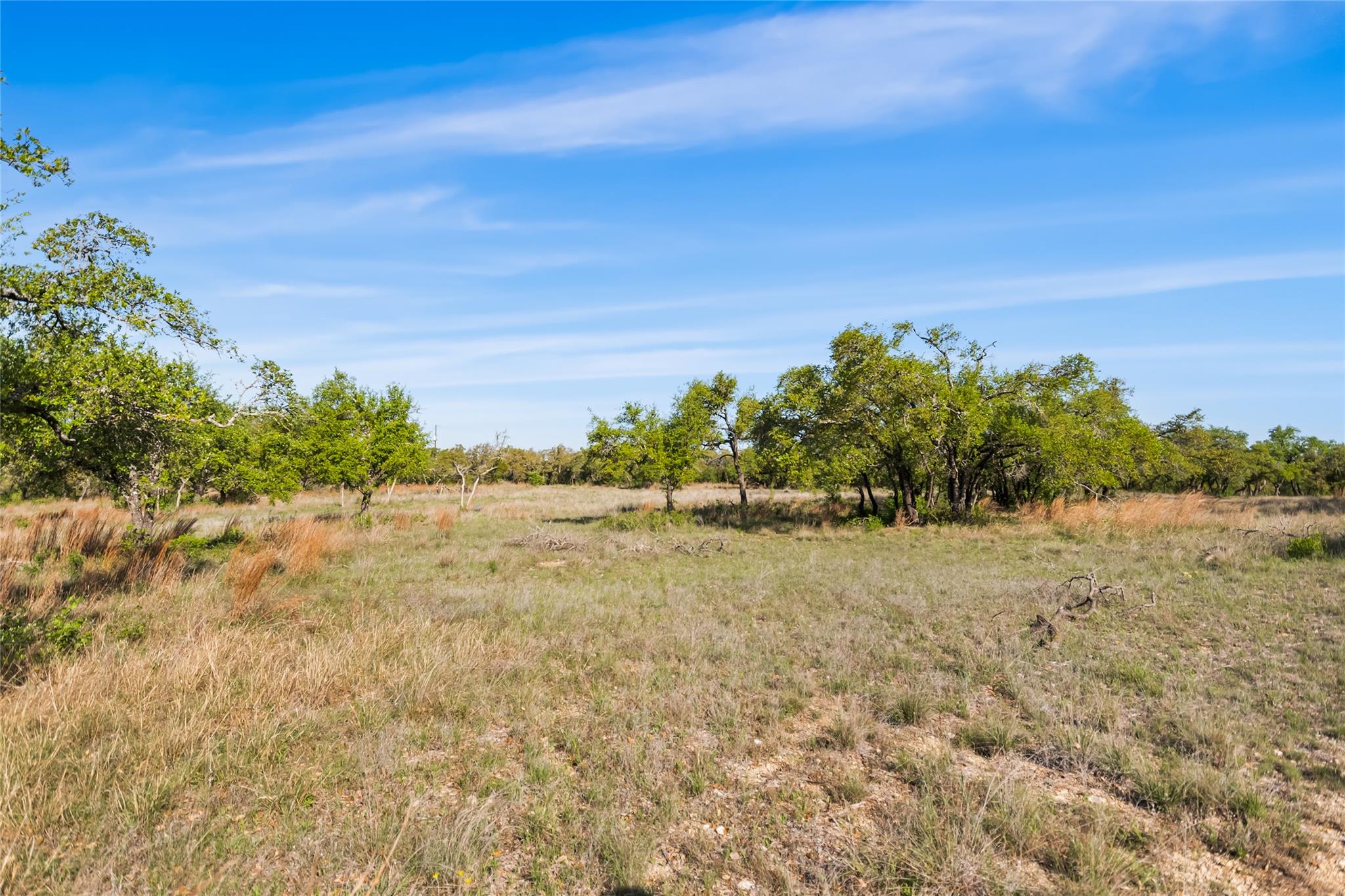 21411 Hamilton Pool Rd Property Photo 31
