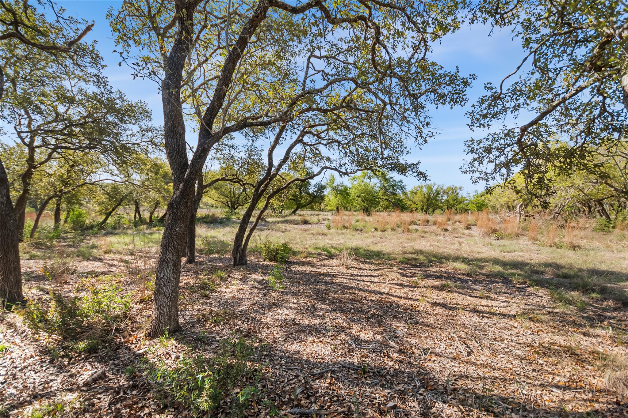 21411 Hamilton Pool Rd Property Photo 33