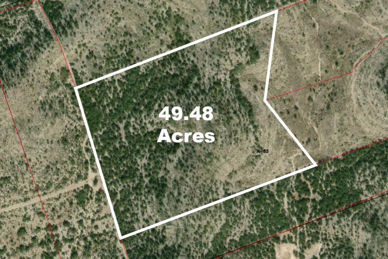 00 Hwy 55 Lot 1 Property Photo 5